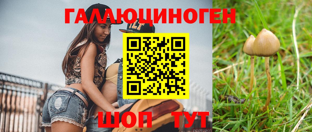 Псилоцибиновые грибы прущие грибы  Вход с VPN  Павловский Посад 